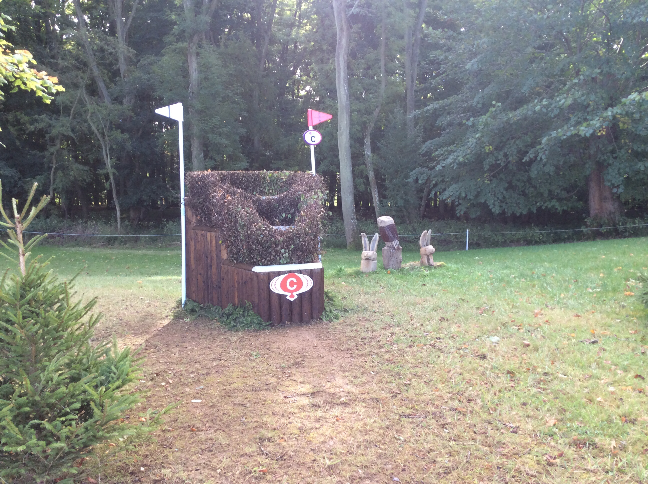 image-6.jpg
