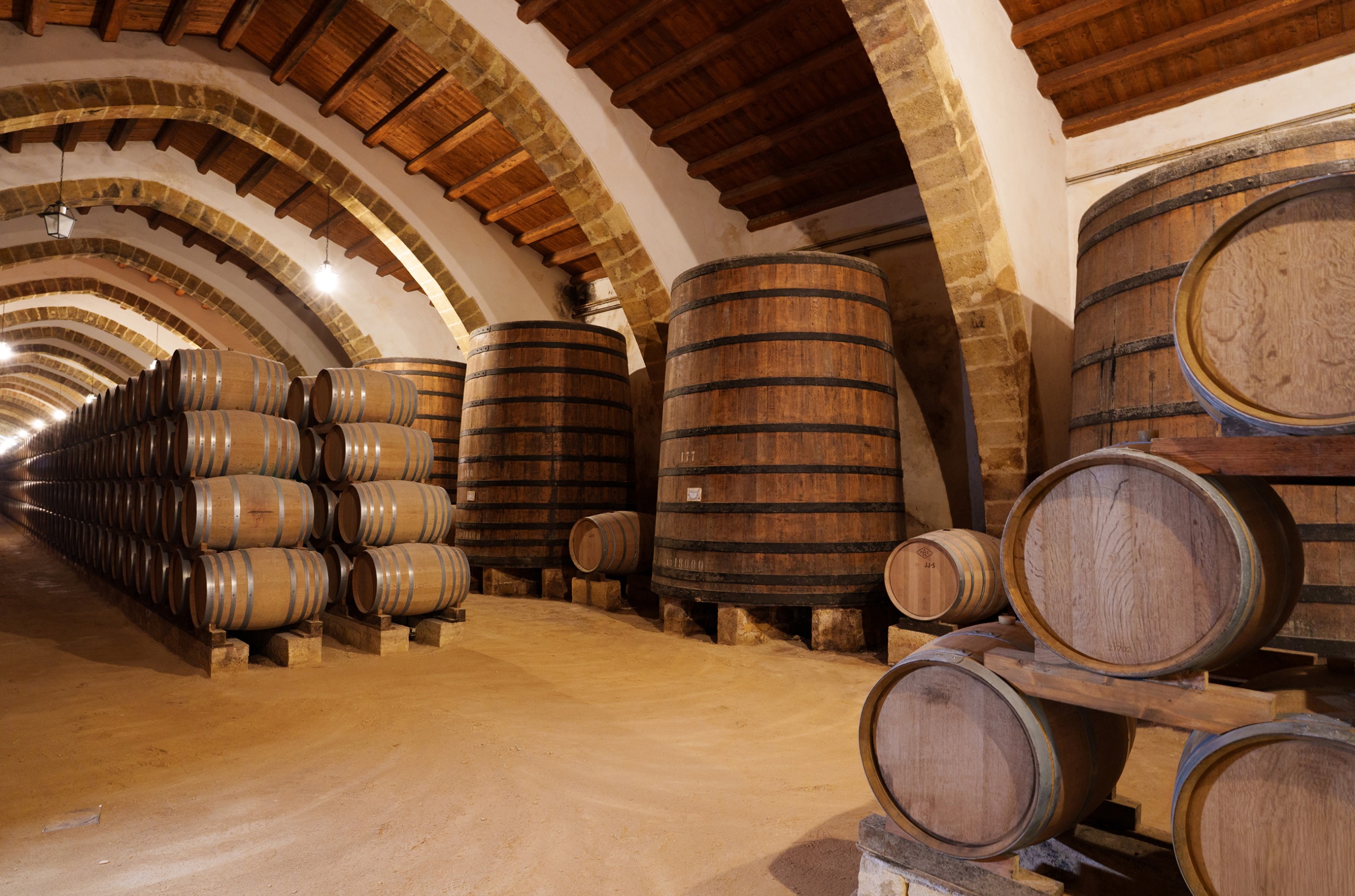 Room with oak barrels and very large foudres