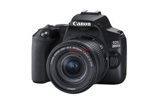 Image Credit: Nokishita