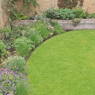 Rounded area of lawn with a garden border full of plants