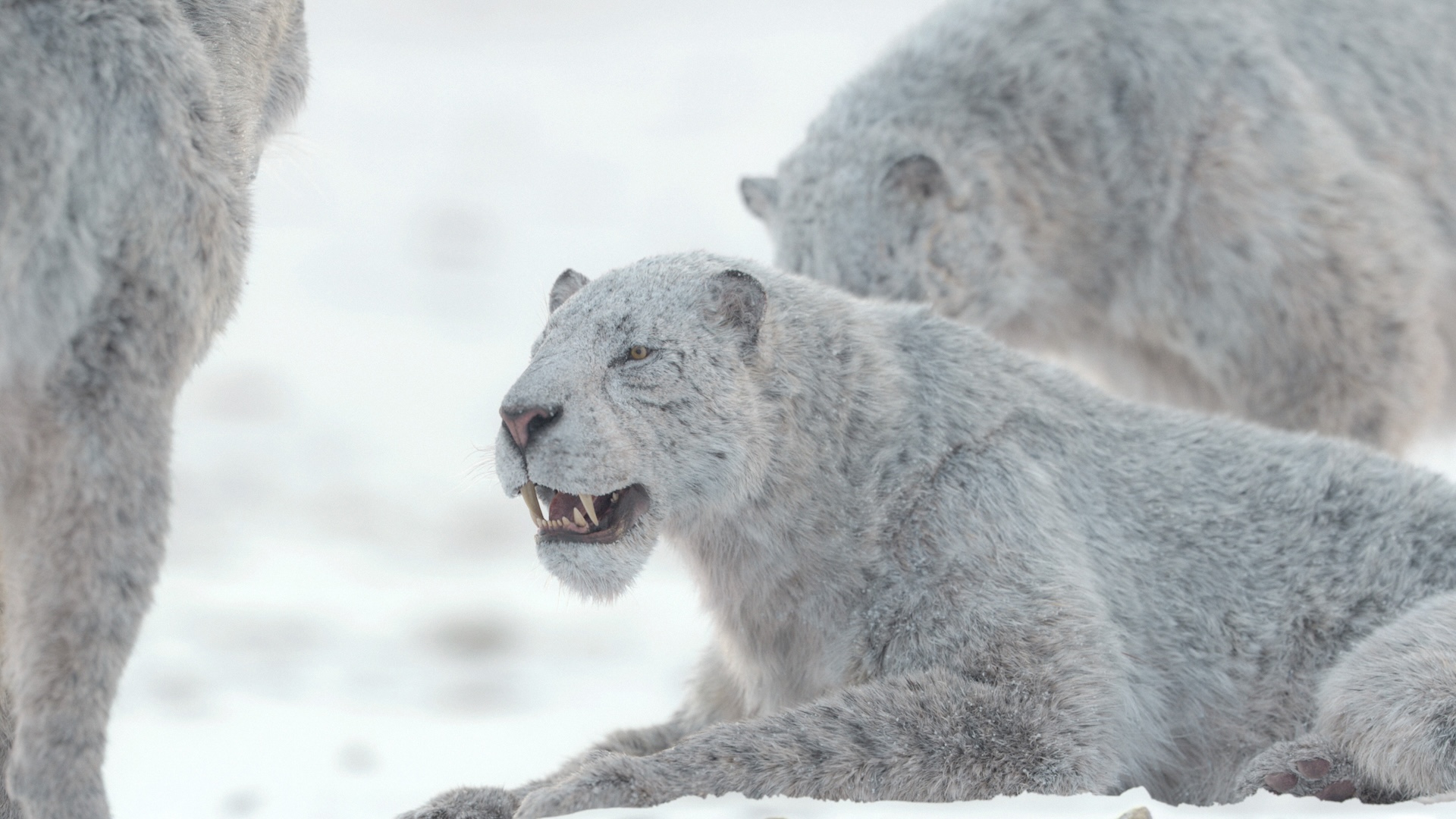 Stills from the natural history show Prehistoric Planet: Ice Age