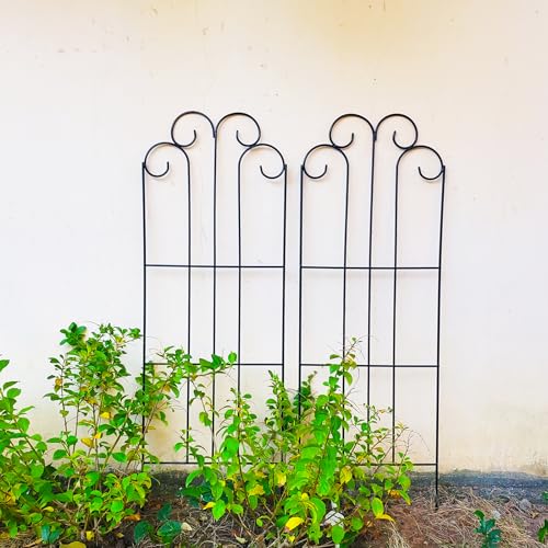 Scendor 2 Pack Black Garden Trellis for Climbing Plants 45&amp;rdquo; X 15.9&amp;rdquo; Iron Plant Support Climbing Vines and Flowers Stands Vegetables Patio Metal Lattices Grid Panels for Ivy Cucumbers