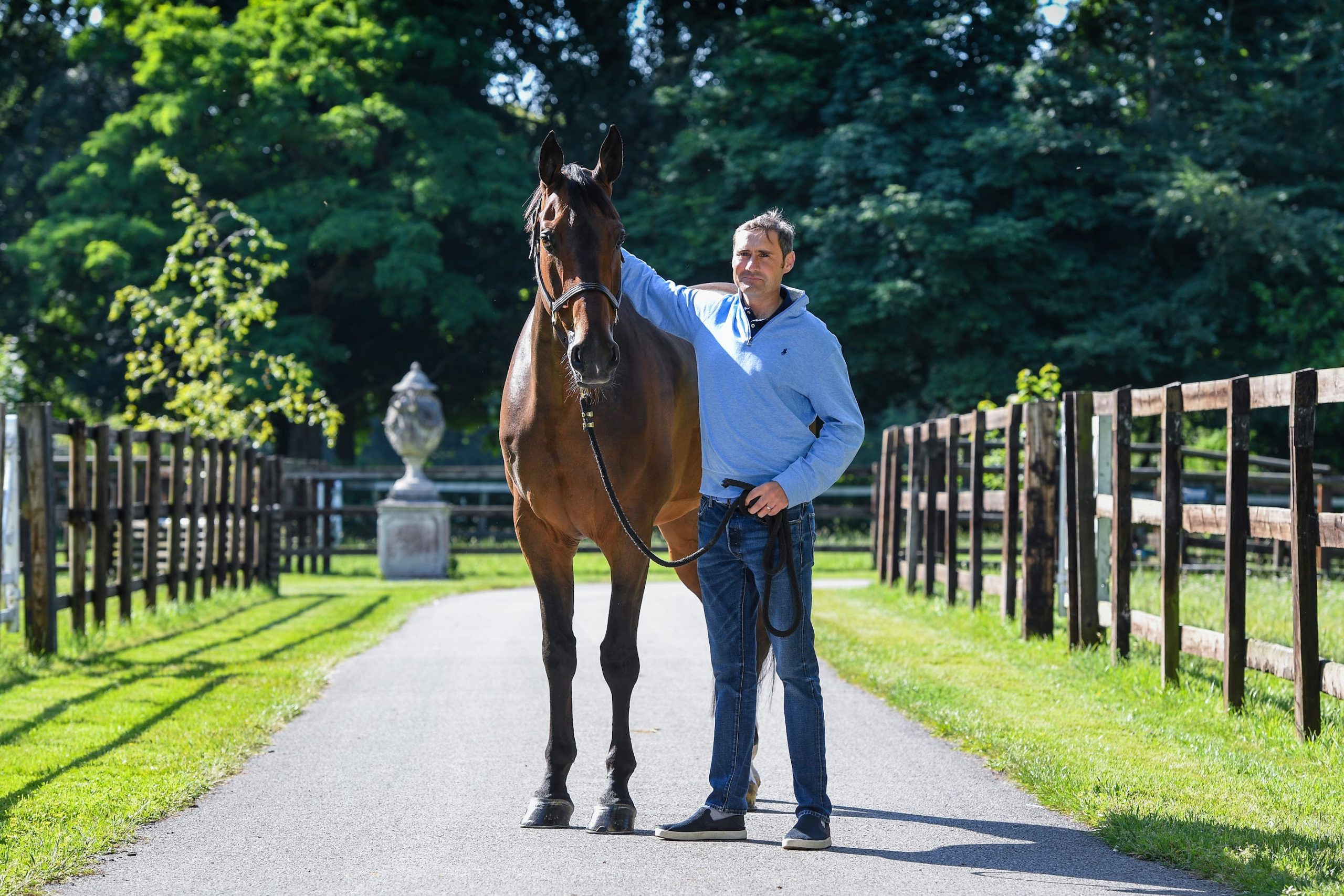 Tim Gredley's European Showjumping Championship partner, Medoc De Toxandria, an 11-year-old son of Der Senaat III, who Tim bought from David Simpson last year. They will represent the British team.