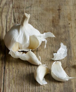 A garlic bulb with three separated cloves