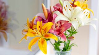 A vase filled with lilies on a table