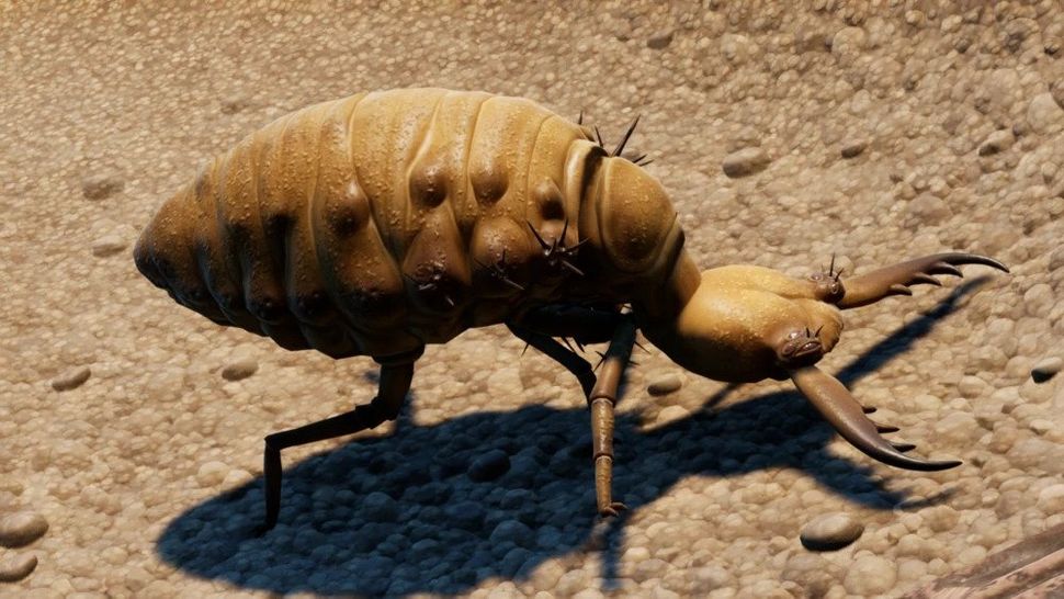 Grounded How to get into the Sandbox Windows Central