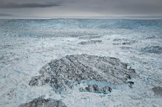 An iceberg, likely from Greenland's Jakobshavn Isbrae glacier, floats among sea ice.