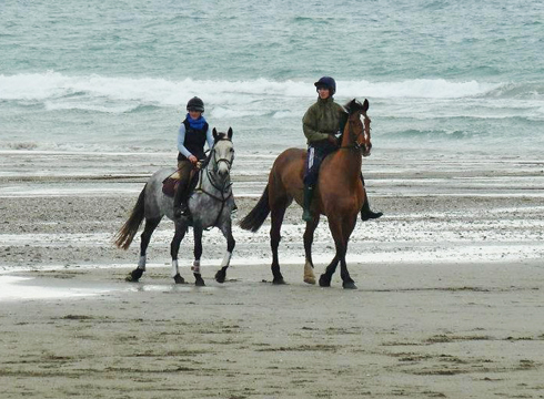 Dreaming of being back on a horse &amp;mdash; Amanda and I riding on the beach