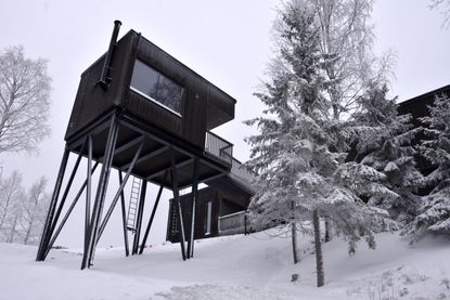 Panorama Landscape delivers serenity in the Finnish forest | Wallpaper