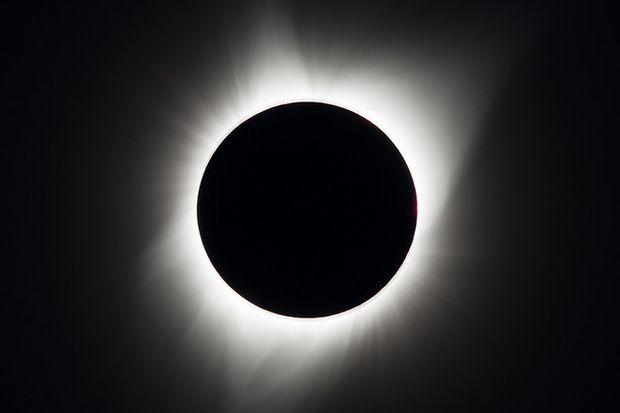 How the Great American Solar Eclipse Sparked Nationwide Interest in ...