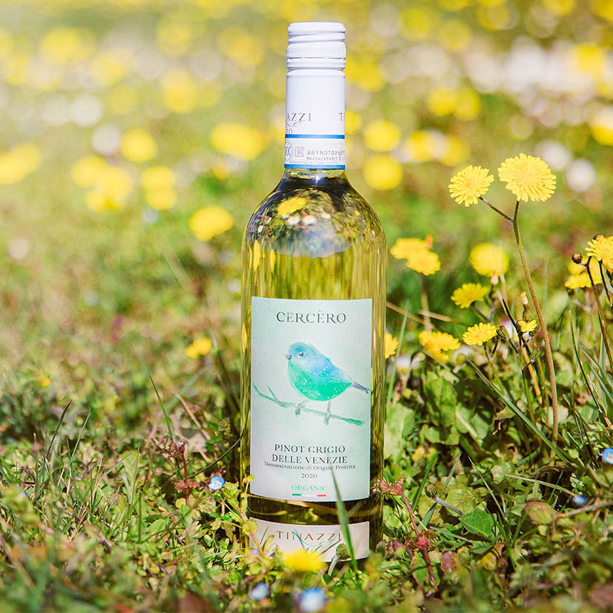 Cercero Pinot Grigio delle Venezie