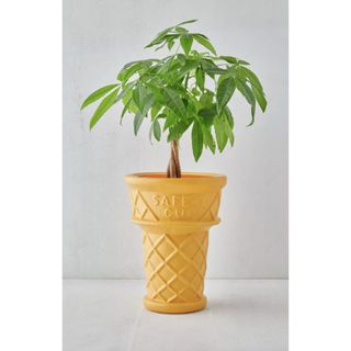 Ice cream plant pot