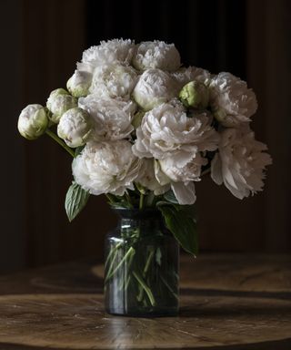 Coral Charm Peonies, peony styling tips