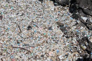 Small plastic fragments are a huge problem on Hawaii's beaches. At Kamilo Point on the Big Island of Hawaii, where this photo was taken, such fragments may penetrate three feet down in the sand.