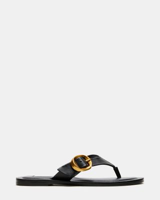 Rays Black Leather Thong Sandal | Women's Sandals – Steve Madden