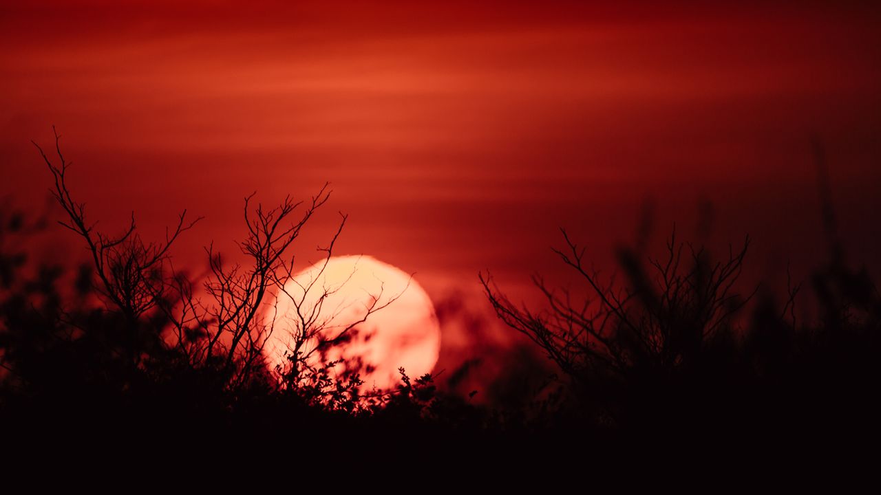 Sunset in the Kalahari
