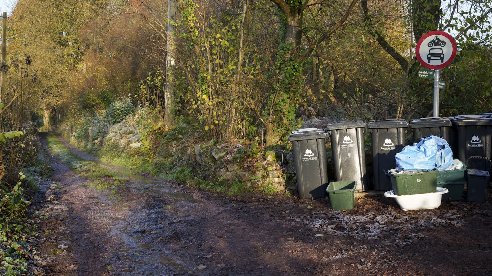 Recycling bins on a rural street