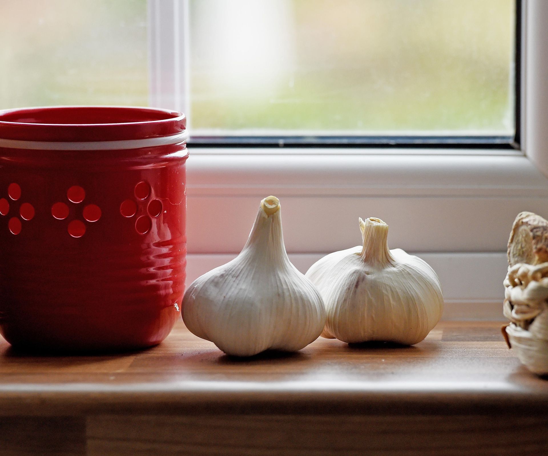 Two garlic bulbs on a sunny windowsill