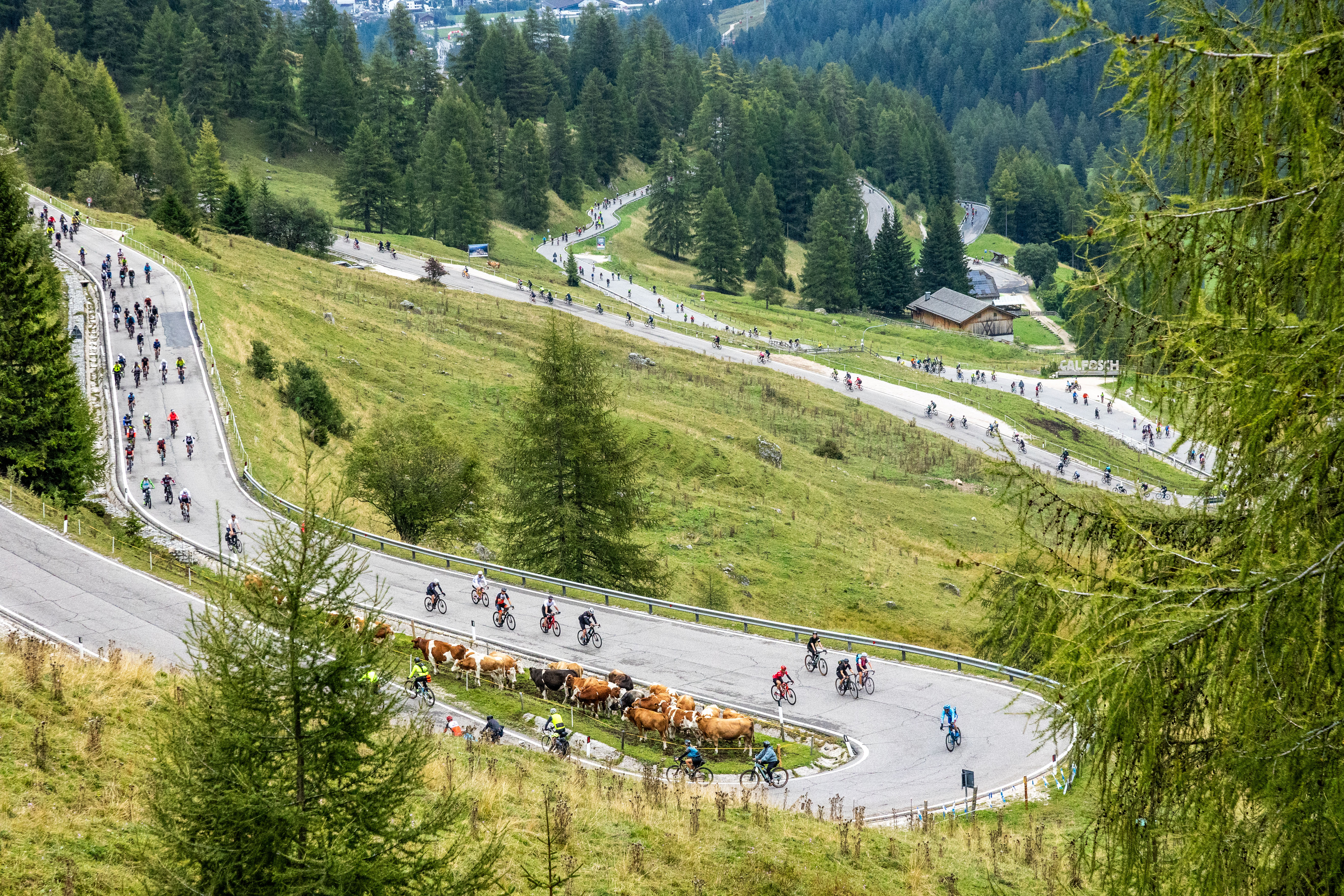 Hairpins aplenty when you&#039;re climbing in the Dolomites