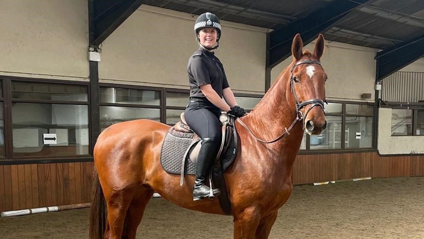Avon &amp;amp; Somerset Police announced police horse Rocky, pictured, has been put down owing to the injuries he sustained in a road traffic collision in July