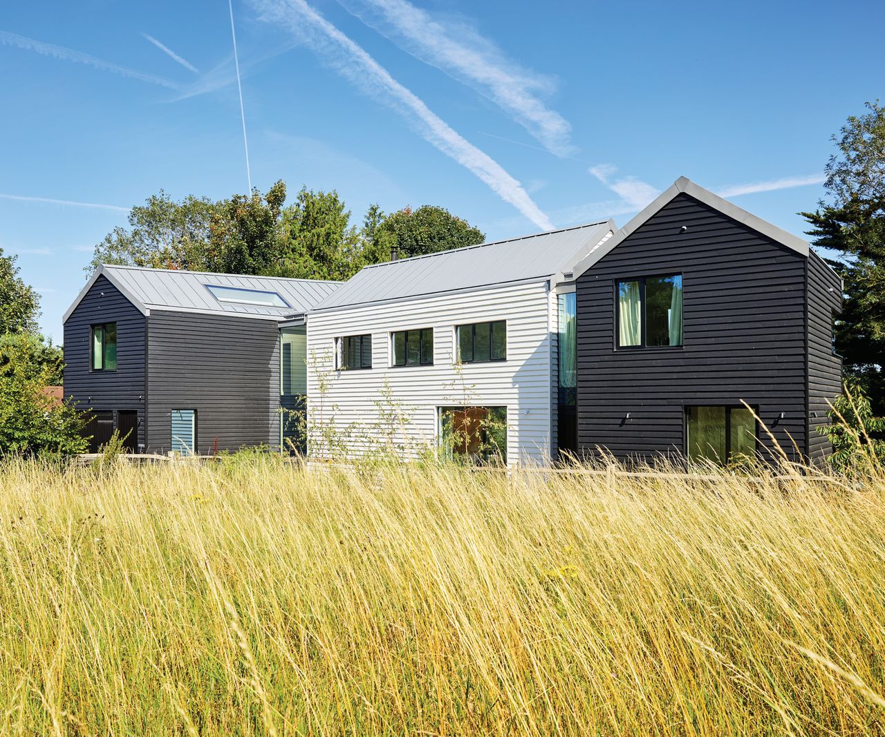 Exterior of house with long grass in front and blue sky behind it