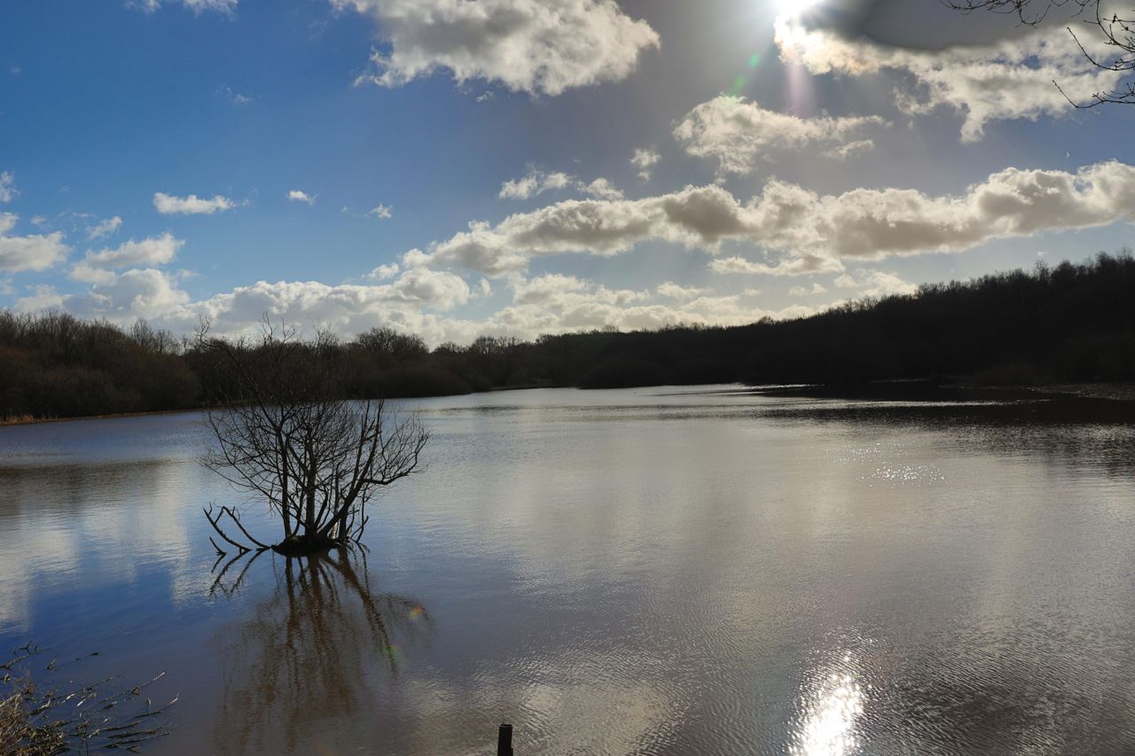 A shot taken with the Canon EOS R6. It shows a pond and trees with blue sky and clouds