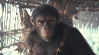 Noa looks stoic as he walks through a location in Kingdom of the Planet of the Apes.