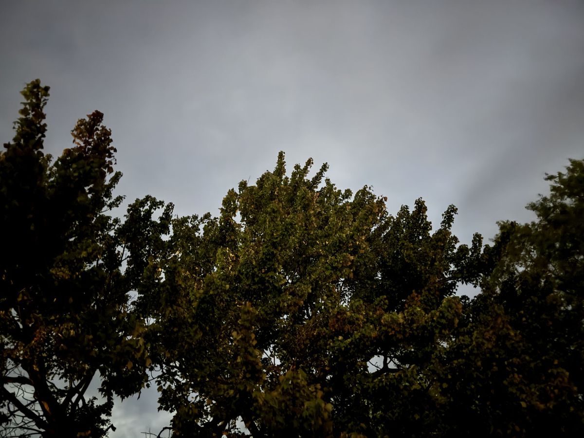 Apple iPhone 15 Pro Max camera sample.