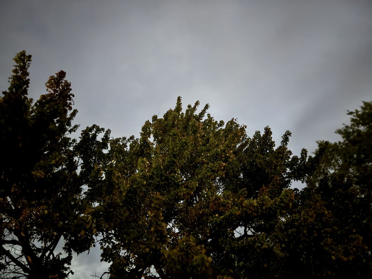 Apple iPhone 15 Pro Max camera sample.