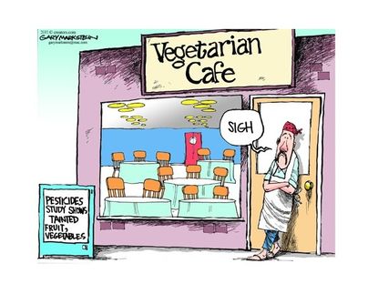 Vegetarians' raw deal