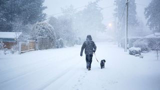 man walking his dog in a snow blizzard at dusk