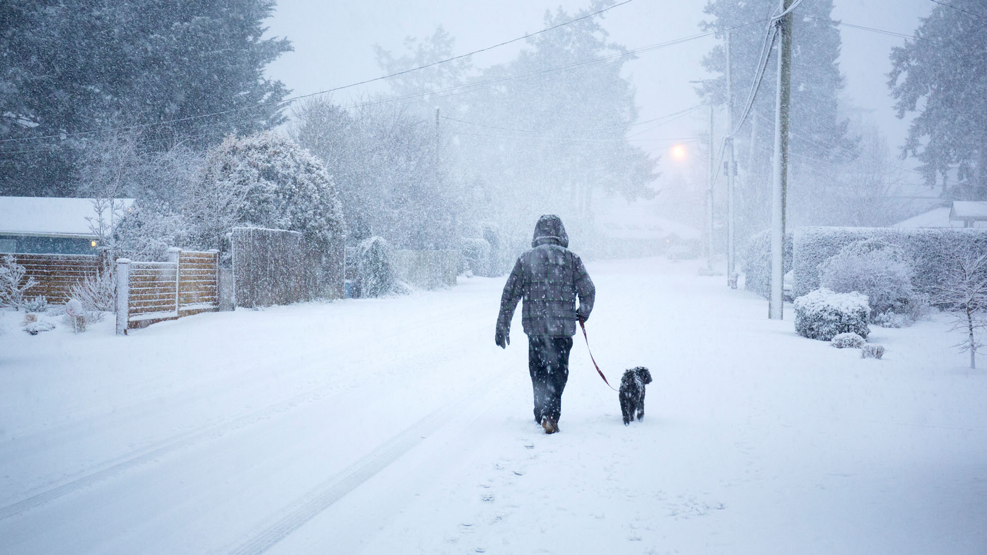 Why Are Heart Attacks More Common In Winter? A Cardiologist Explains ...