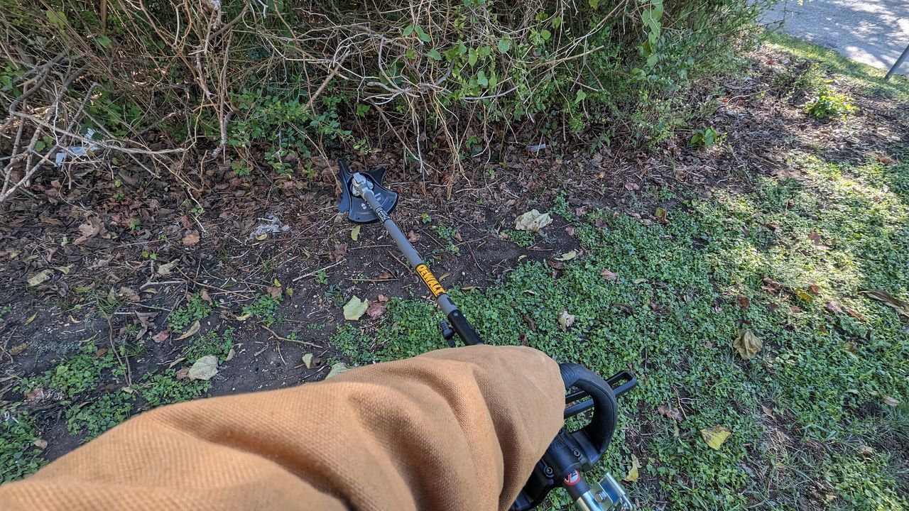 dewalt string trimmer with brushcutter attachment next to a hedge