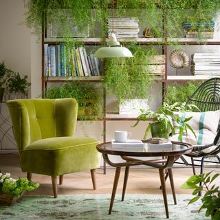living room with betty armchair in olive cotton matt velvet