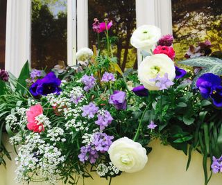 window box with colourful flowers