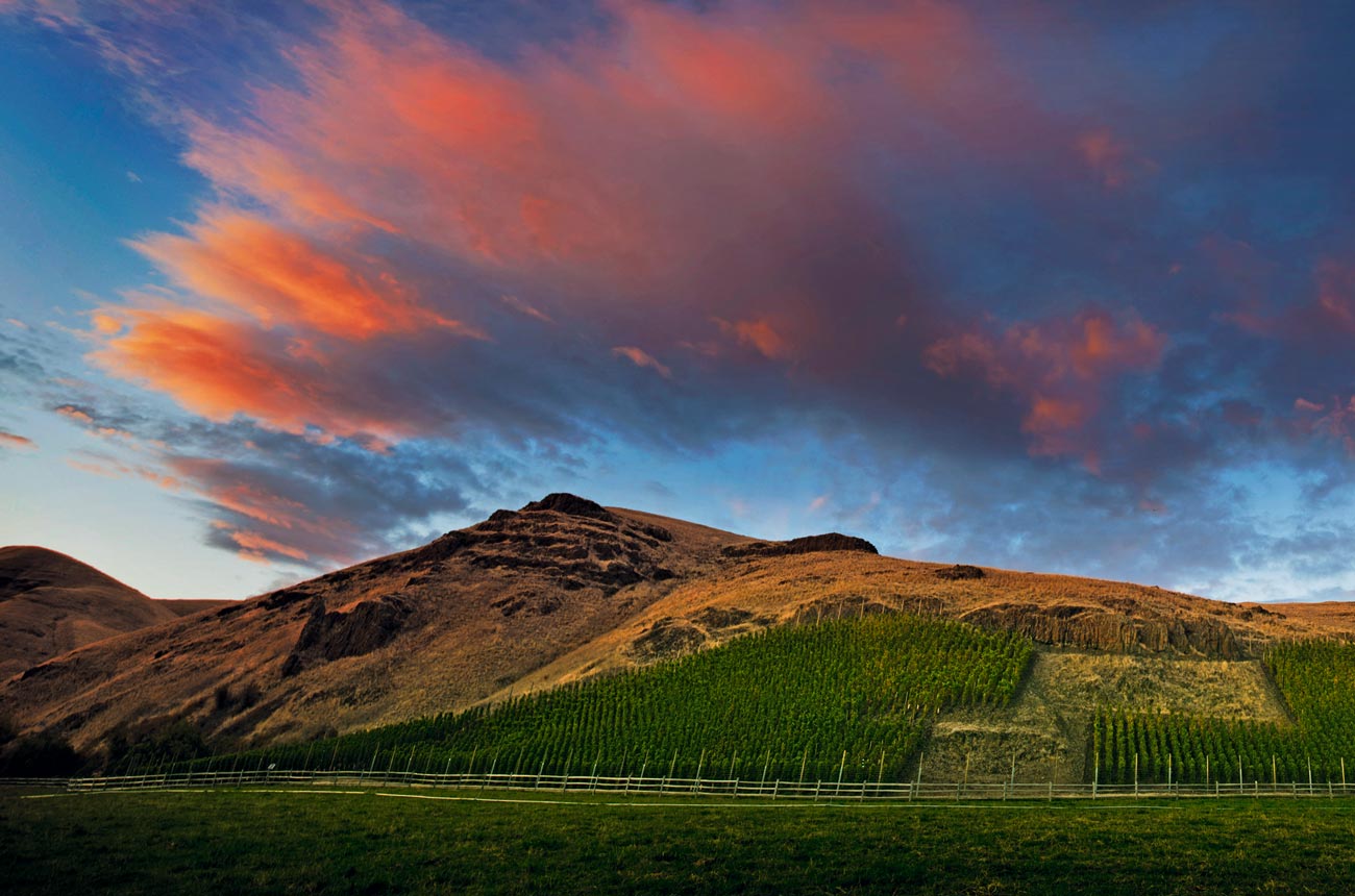 Sunset over the vineyards of Cayuse