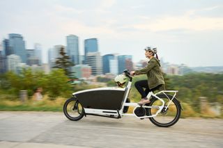 Electric cargo bike with child passenger