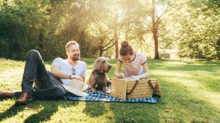 Man and girl having picnic with weimaraner dog