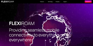 Website screenshot for Flexiroam
