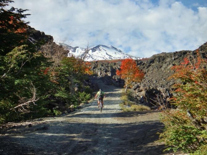 Sean enjoying the Chilean autumn