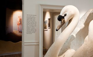 An image with a swan and a huge doll