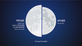 A diagram showing half of the moon at perigee and half of the moon at apogee, split down the middle.