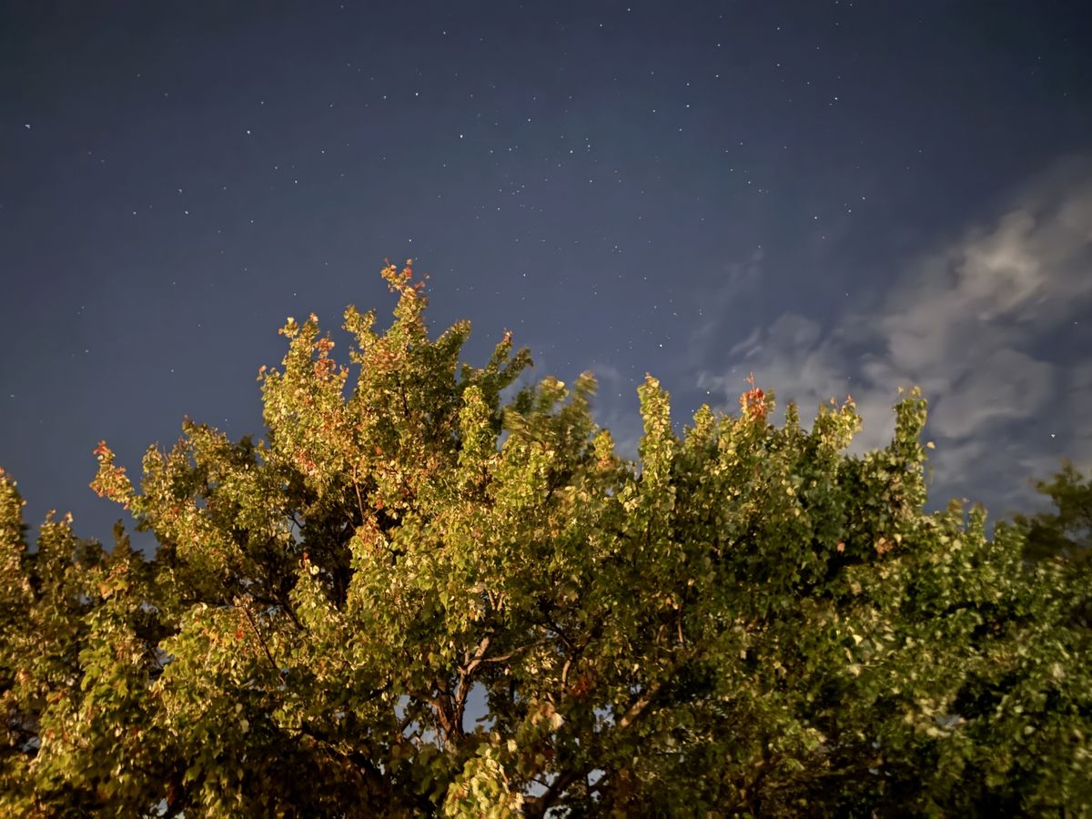 Apple iPhone 16 Pro Max low light sample.