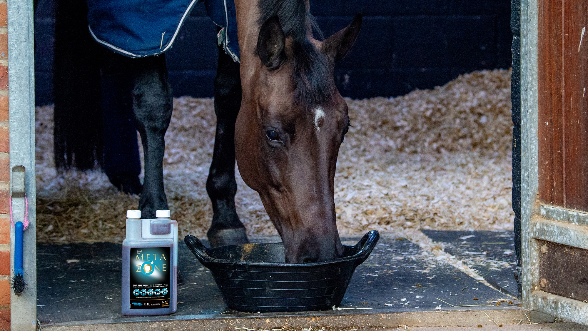 Horse eating in stable doorway