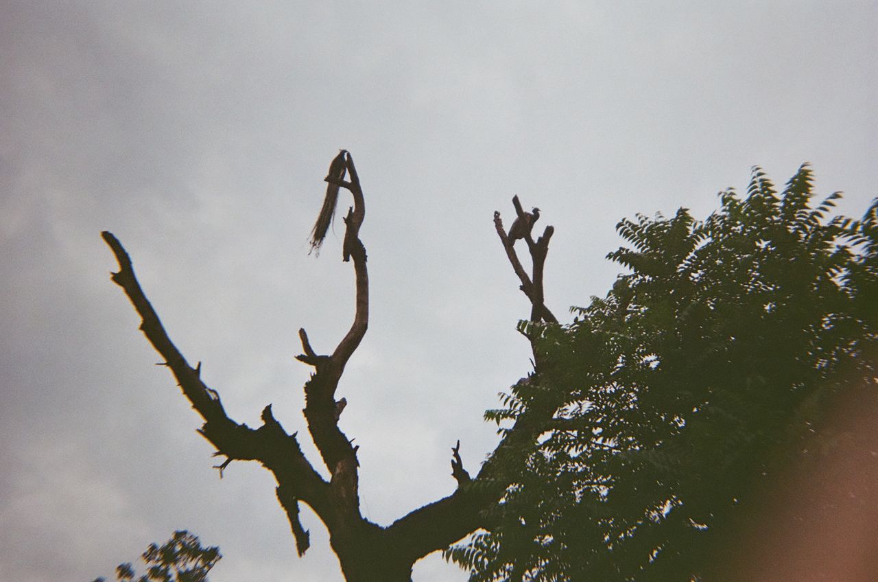 A photo taken on a Lomography Simple Use Reloadable Film Camera Classicolor film camera