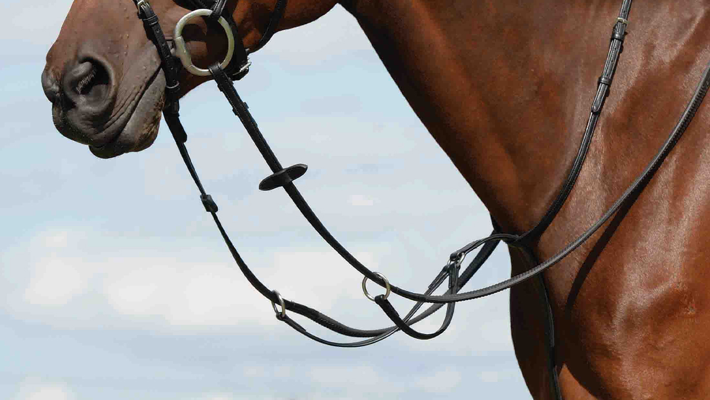 Collegiate Syntovia + Plain Flat Running Martingale