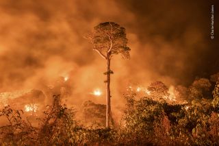 Amazon burning by Charlie Hamilton James, UK Highly Commended 2020, Wildlife Photojournalism: Single Image