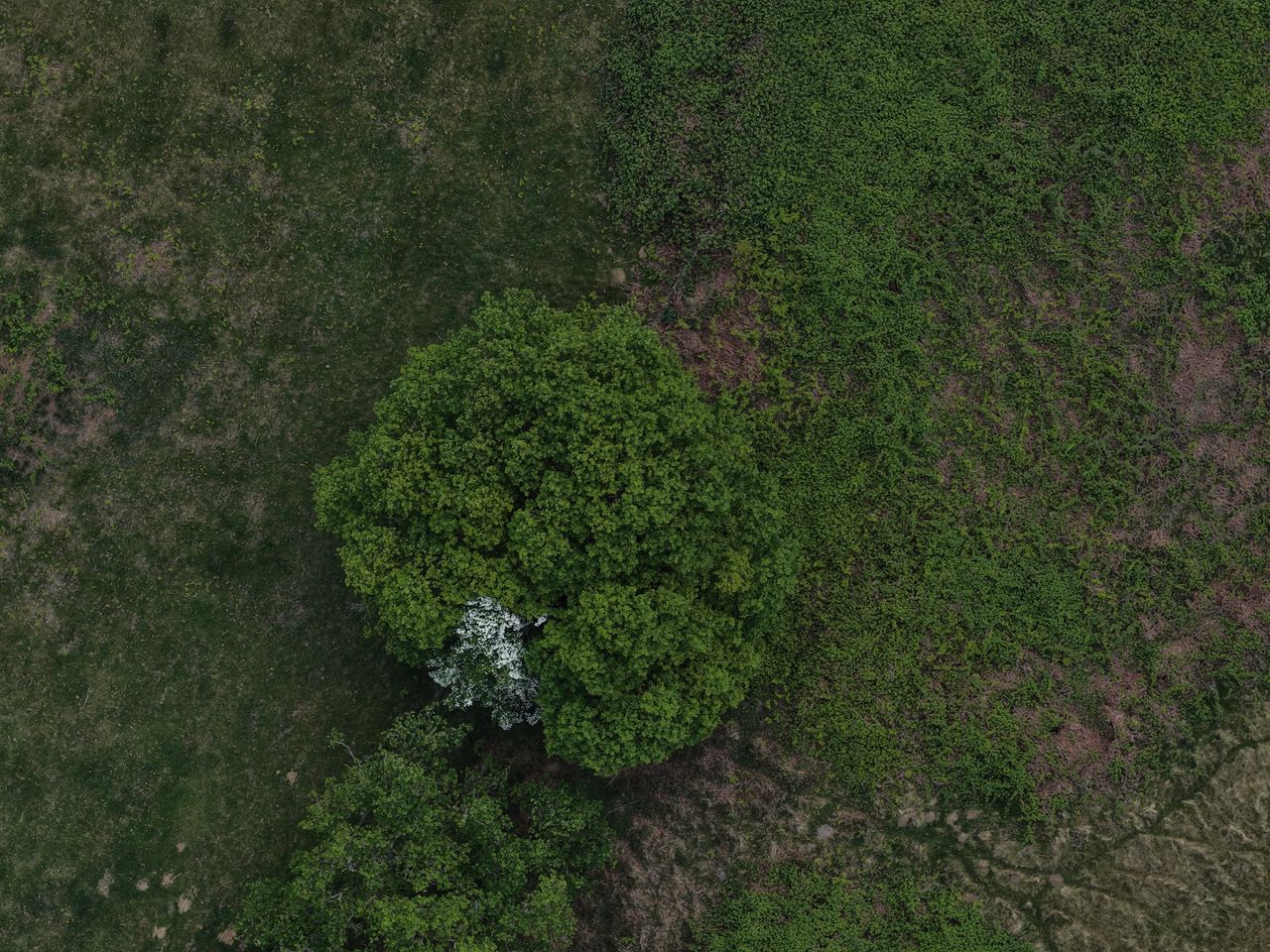 DJI MAVIC 4 PRO SAMPLE IMAGES