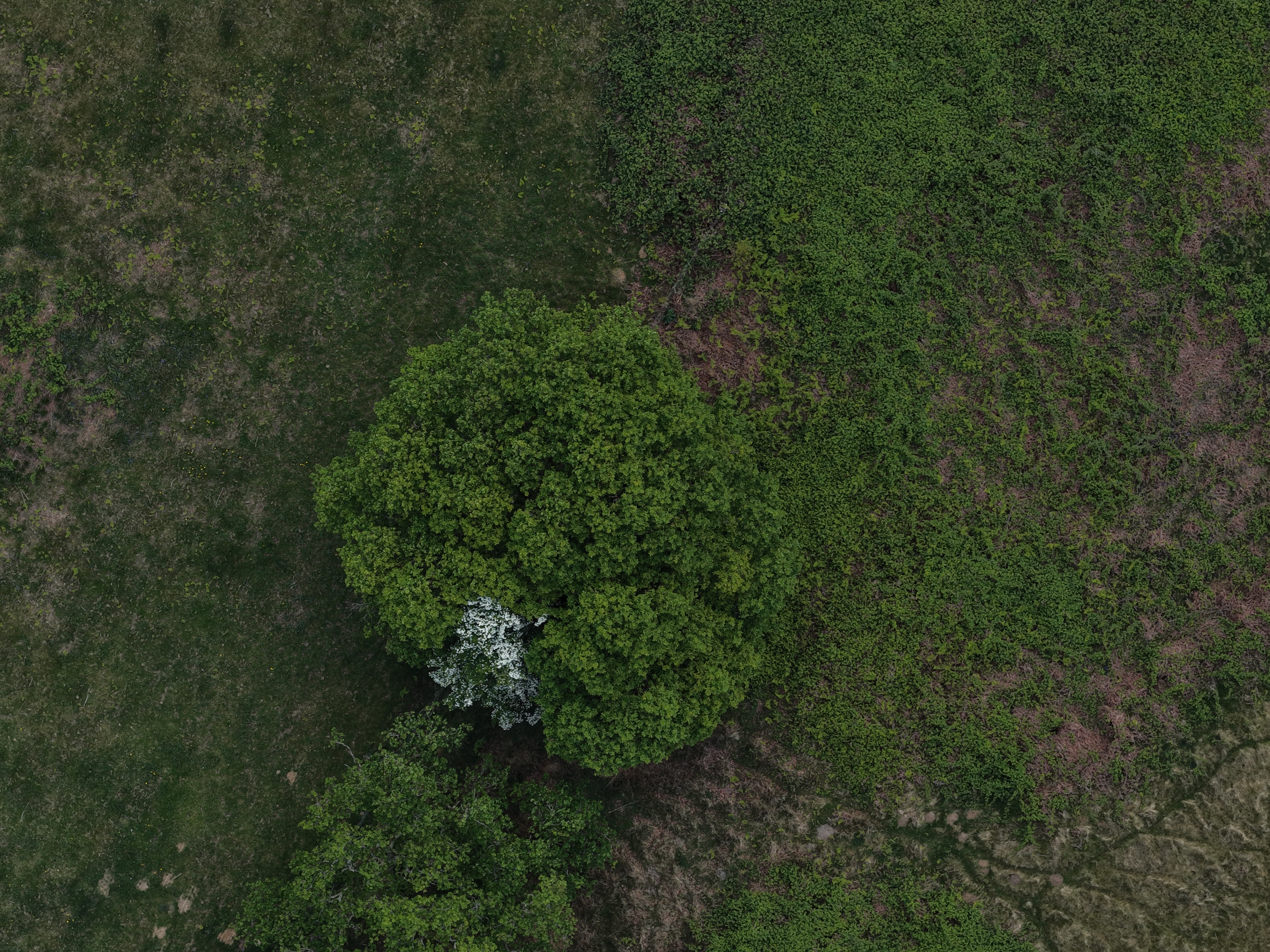 DJI MAVIC 4 PRO SAMPLE IMAGES