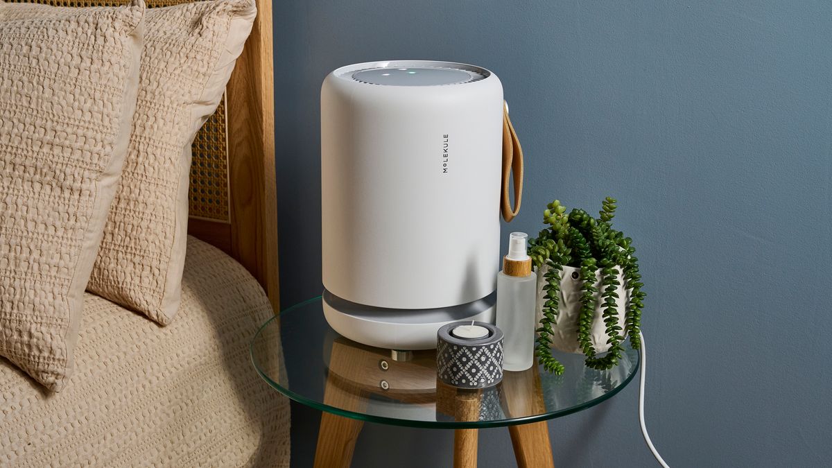 Molekule Air Mini+ review: high-grade filtering doesn’t offset this air purifier’s performance problems